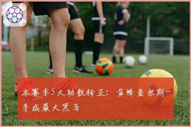 本赛季5大助教转正：黄蜂查尔斯-李成最大黑马