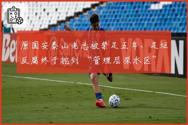 原国安泰山老总被禁足五年，足坛反腐终于挖到 “管理层深水区”