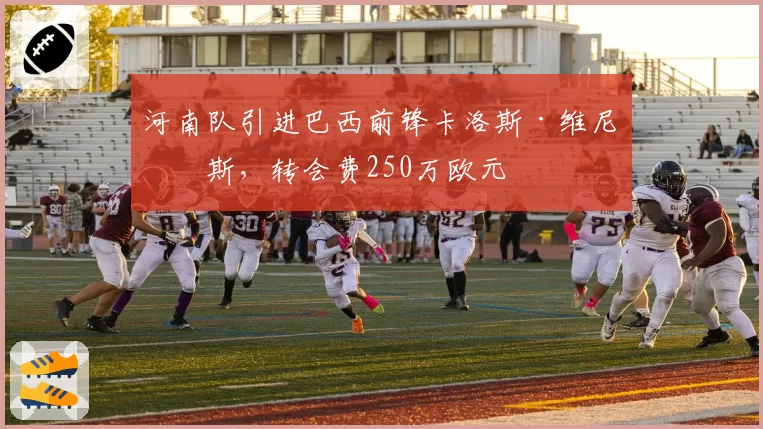 河南队引进巴西前锋卡洛斯·维尼修斯，转会费250万欧元