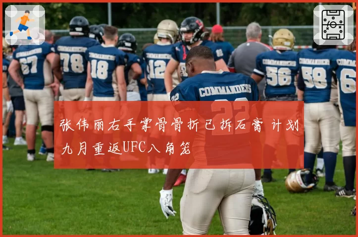 张伟丽右手掌骨骨折已拆石膏 计划九月重返UFC八角笼