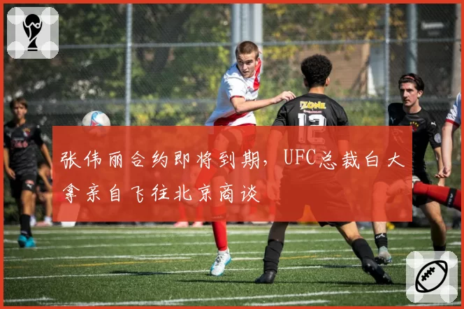 张伟丽合约即将到期，UFC总裁白大拿亲自飞往北京商谈
