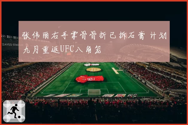 张伟丽右手掌骨骨折已拆石膏 计划九月重返UFC八角笼