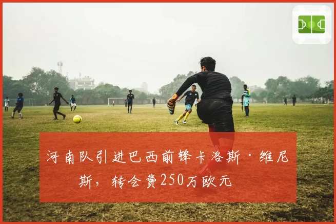 河南队引进巴西前锋卡洛斯·维尼修斯,转会费250万欧元